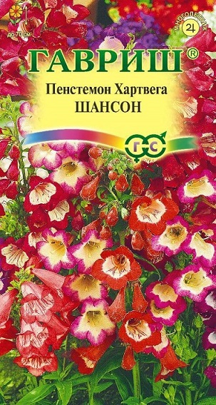 Цветы Пенстемон Хартвига Шансон наперстянковый 0,01 г ц/п Гавриш (мног.)