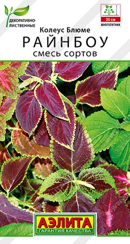 Цветы Колеус блюме Райнбоу, смесь 5 шт ц/п Аэлита (комн.)