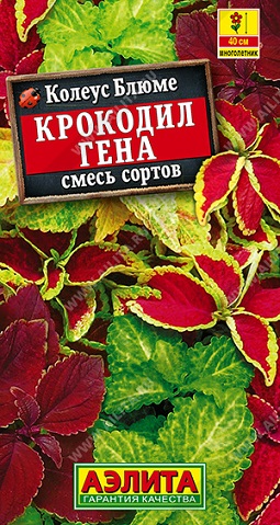 Цветы Колеус блюме Крокодил Гена, смесь 0,05 г ц/п Аэлита (комн.)
