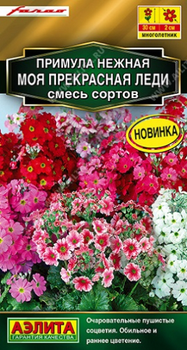 Цветы Примула Моя прекрасная леди, смесь 7 шт ц/п Аэлита (мног.)