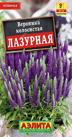 Цветы Вероника Лазурная, 0,05 г ц/п Аэлита (мног.)