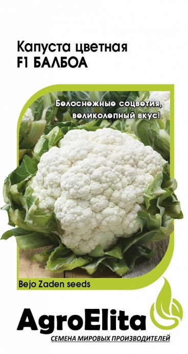 Капуста цветная Балбоа F1, 10 шт ц/п Агроэлита, Голландия (среднеранняя)