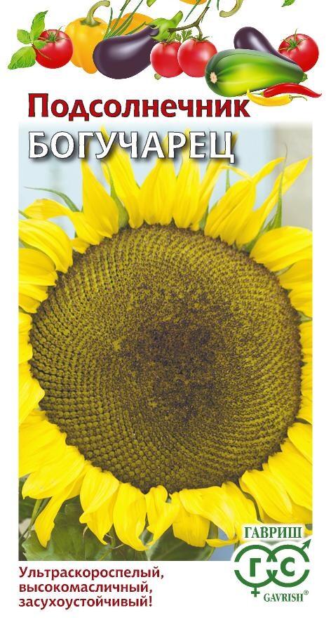 Подсолнечник на семечки Богучарец 10 г (низкий, 120 см) ц/п Гавриш