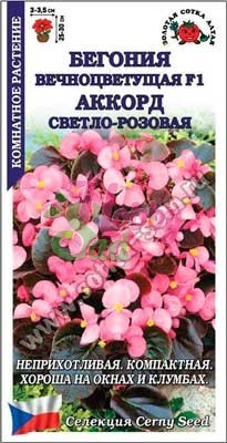 Цветы Бегония Аккорд вечноцветущая F1 светло-розовая (10 шт) Сотка