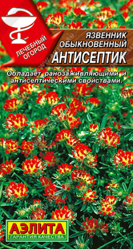 Язвенник Антисептик