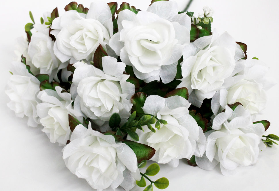 Б11552 Бук.высокий 12гол.отк.роз