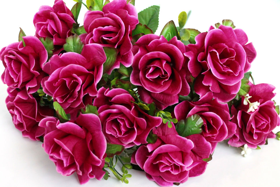 Б11552 Бук.высокий 12гол.отк.роз