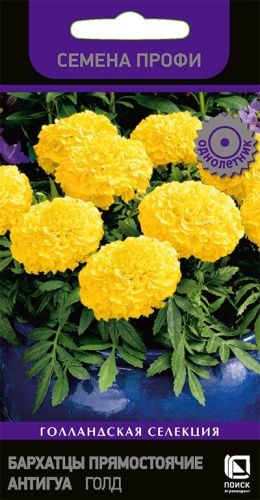 Цветы Бархатцы пр. Антигуа Голд 15 шт ц/п Поиск