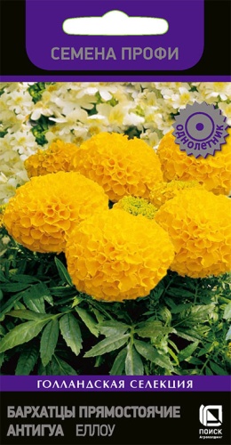 Цветы Бархатцы пр. Антигуа Еллоу 15 шт ц/п Поиск