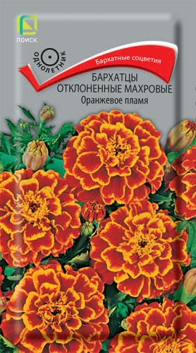 Цветы Бархатцы откл. Оранжевое пламя 0,4 г ц/п Поиск