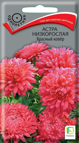 Цв. Астра Низкорослая Красный ковер 0,2 г ц/п Поиск