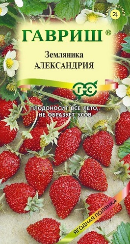 ягоды Земляника Александрия 0,03 г ц/п Гавриш, ремонтантная, безусая