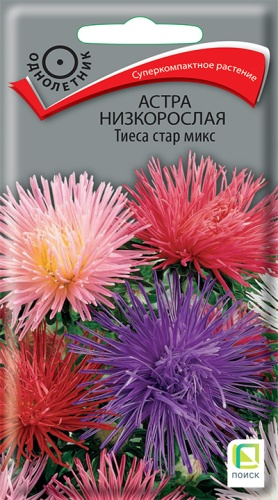 Цв. Астра карлик Тиеса стар микс 0,2 г ц/п Поиск