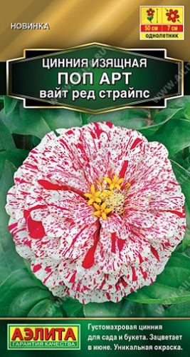 Цветы Цинния Поп арт вайт ред страйпс 0,1 г ц/п Аэлита (однол.)