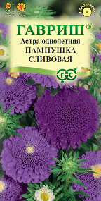 Цв. Астра Пампушка сливовая 0,3 г ц/п Гавриш