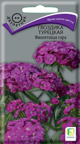 Цветы Гвоздика турец. (бородатая) Фиолетовая гора 0,25 г ц/п Поиск (двул.)