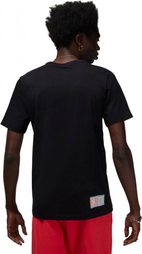 Футболка мужская Nike Air Jordan Flight Essential Rings SS Crew, Nike