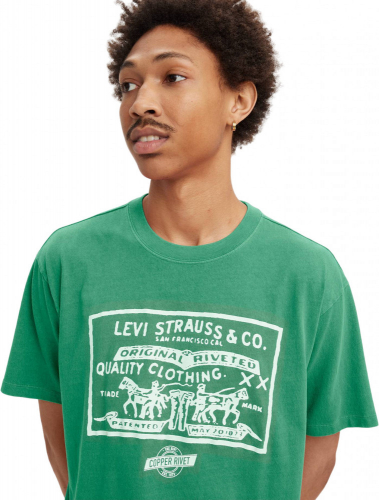 Футболка мужская VINTAGE FIT GRAPHIC TEE GREENS, LEVIS