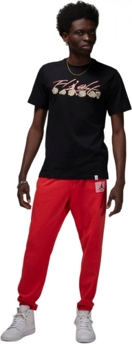 Футболка мужская Nike Air Jordan Flight Essential Rings SS Crew, Nike