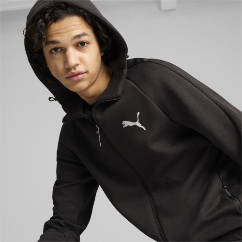 Джемпер мужской EVOSTRIPE Full-Zip Hoodie DK, Puma