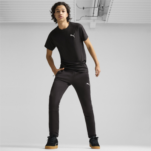 Брюки мужские EVOSTRIPE Pants DK, Puma