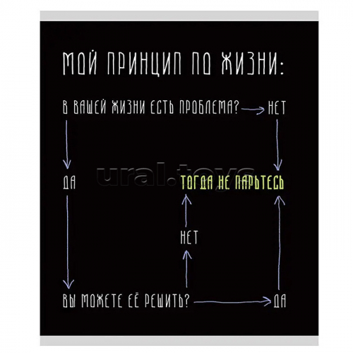 Тетрадь 48л. А5, клетка 