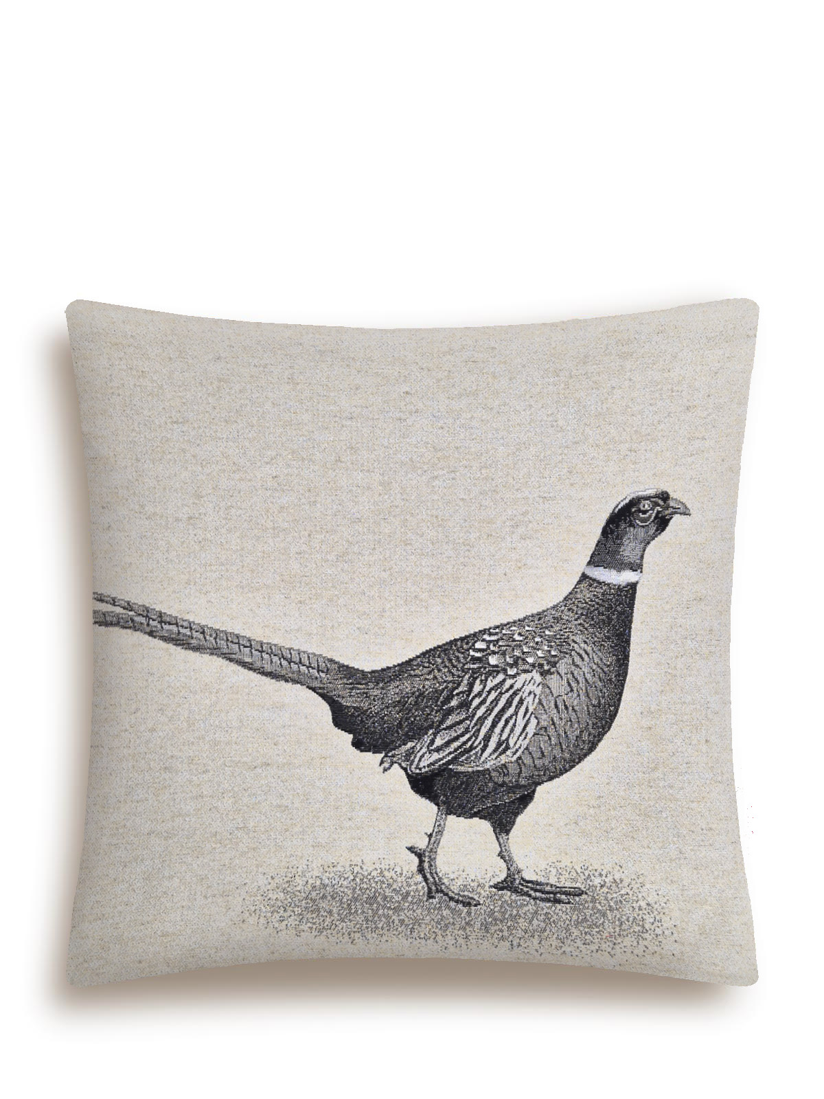 РАСПРОДАЖА Фазан Наволочка 45х45 см 2413736 New