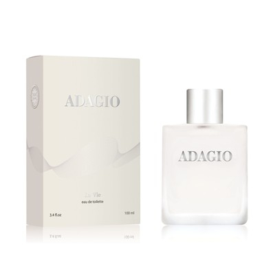 Туалетная вода мужская Adagio (Адажио) 100 мл
