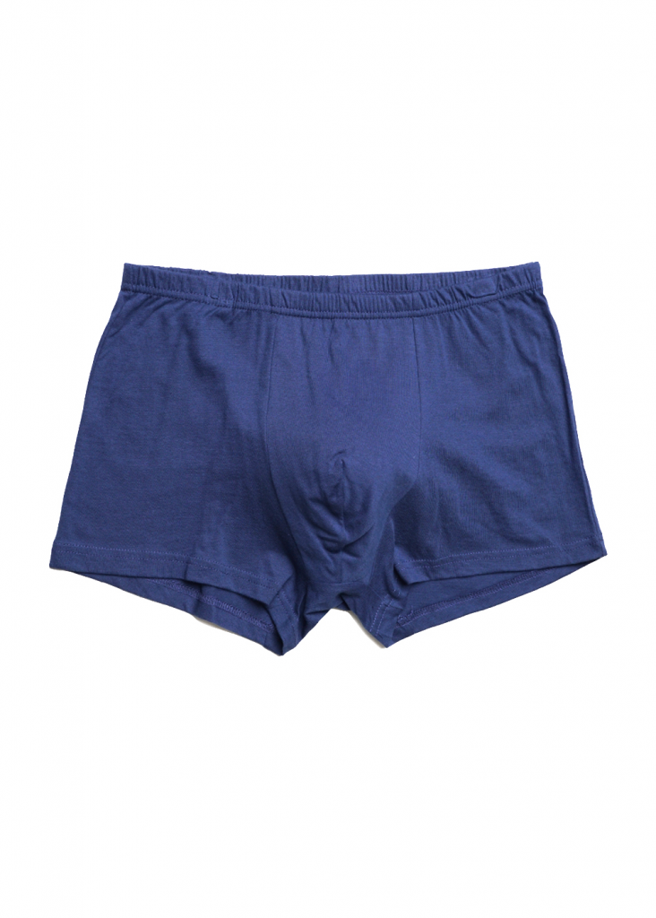 ЭЙС 600667/1 Трусы мужские шорты 600667/1 чёрный