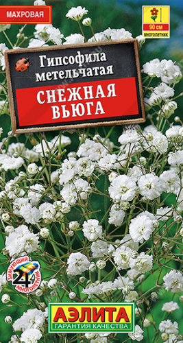 Гипсофила махровая Снежная вьюга