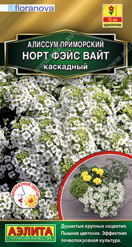 Алиссум Норт фэйс вайт каскадный