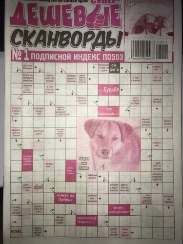 Дешевые сканворды14*24