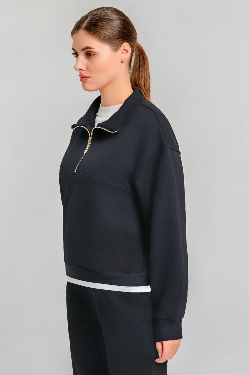 Арт. 15119 Свитшот женский с горлом 42-50 (5 шт)