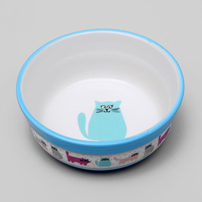 Миска керамическая «Кошачья жизнь» 300 мл 12.7×5 см, голубая