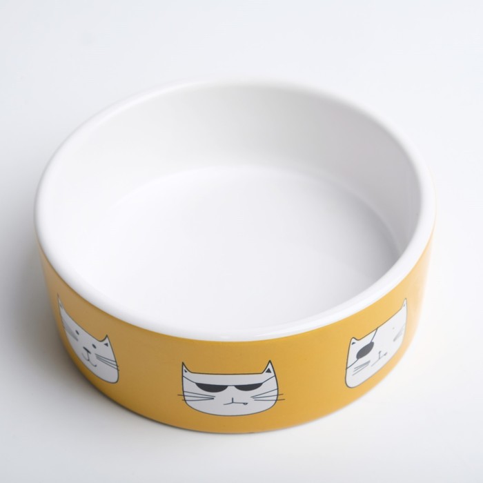 Миска «Опасные коты», 230 мл, 12.5×4.5 cм, керамика, белая, оранжевая