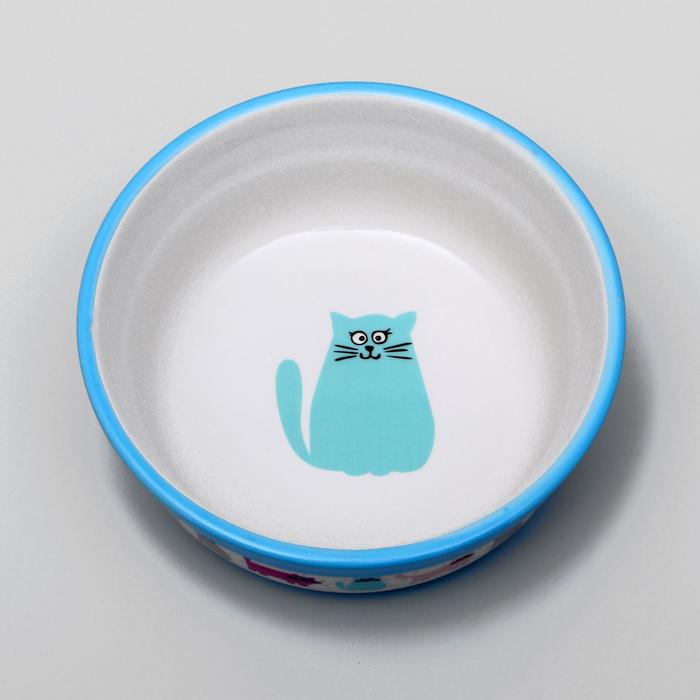 Миска керамическая «Кошачья жизнь» 300 мл 12.7×5 см, голубая