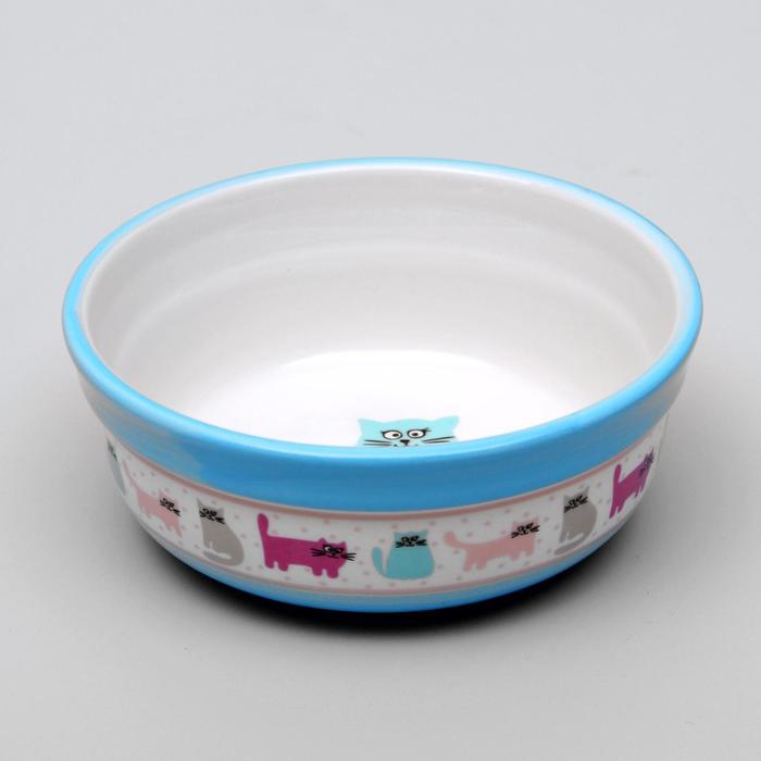 Миска керамическая «Кошачья жизнь» 300 мл 12.7×5 см, голубая
