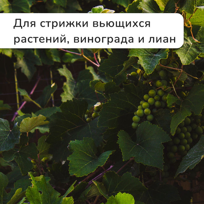 Кусторез, 21.5