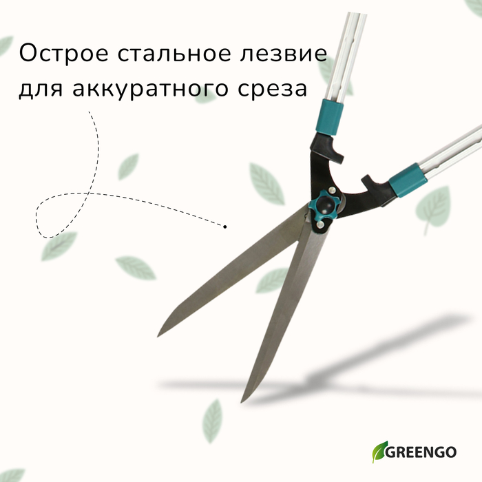 Кусторез, 31−44,5
