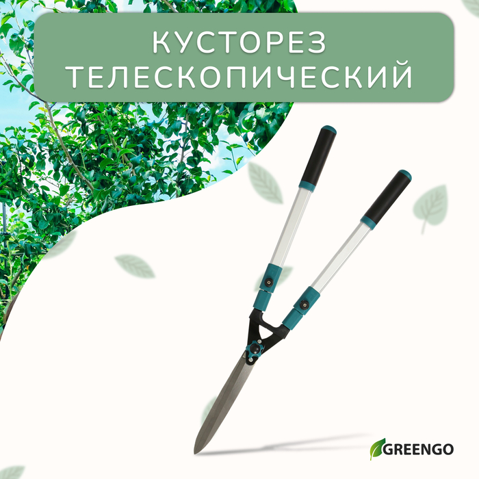 Кусторез, 31−44,5