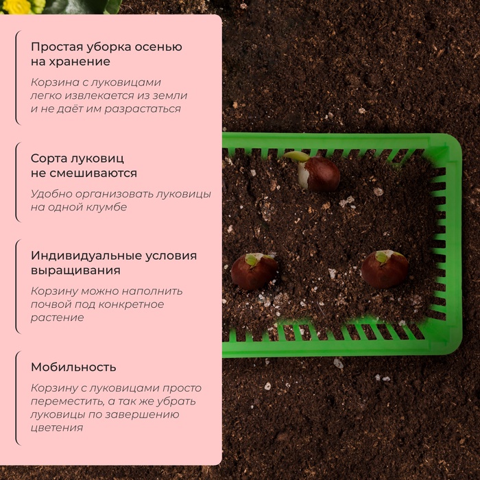 Корзина для луковичных, квадратная, 25×20 см, зелёная, Greengo
