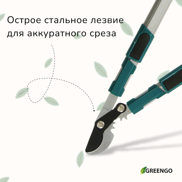 Сучкорез профессиональный, 26.4−37