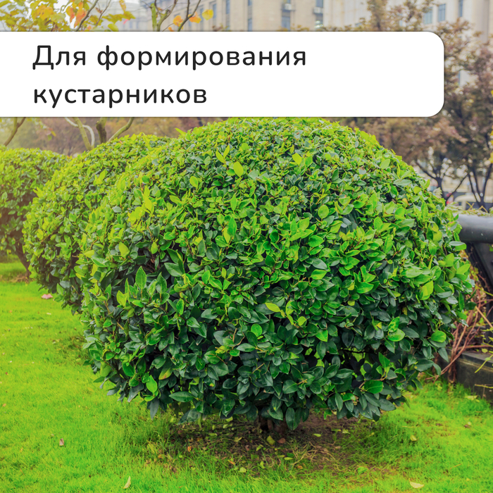 Кусторез, 21.5