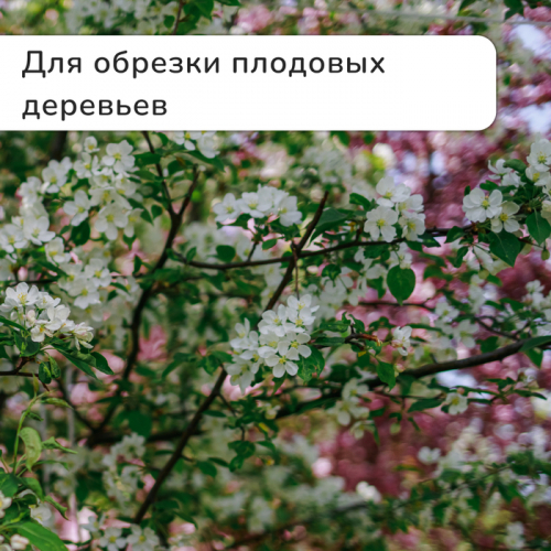 Секатор плоскостной, 9