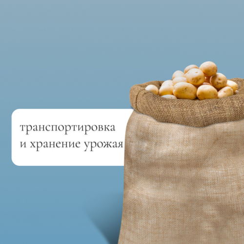 Мешок джутовый, 74 × 100 см, плотность 26 × 26 нитей, без завязок, Greengo