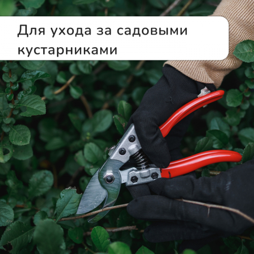 Секатор плоскостной, 8