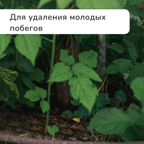 Секатор плоскостной, 9