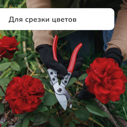 Секатор плоскостной, 8