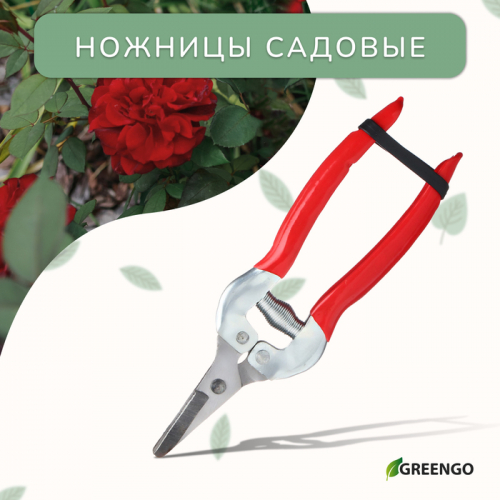 Ножницы садовые, 7