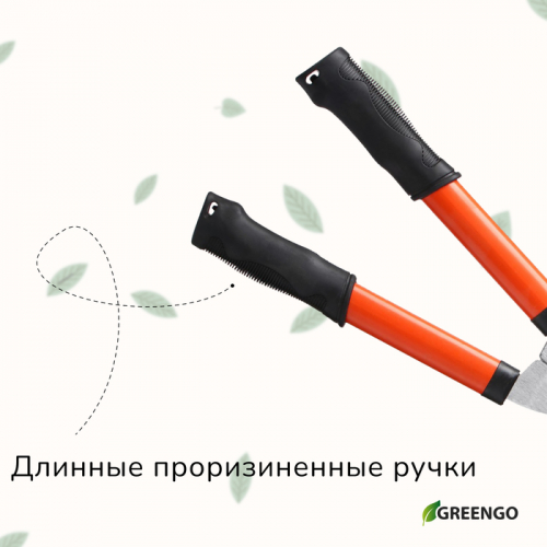 Кусторез, 21